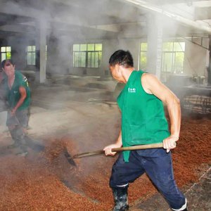 喚醒兩千余條窖池，新的釀酒季由此開始
