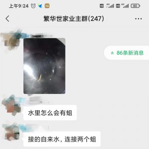 太惡心！小區(qū)自來水中驚現(xiàn)“活物”