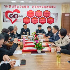 鹿城鎮(zhèn)老年協(xié)會學習宣傳貫徹黨的二十大精神，結合實際做好自身工作討論會召開