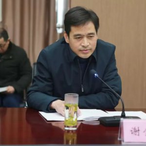 謝金明出任金種子集團黨委書記，提名集團董事長