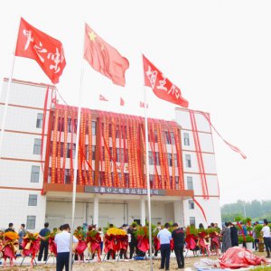 安徽胡王府：預(yù)制菜產(chǎn)業(yè)新生力量，助推鄉(xiāng)村振興