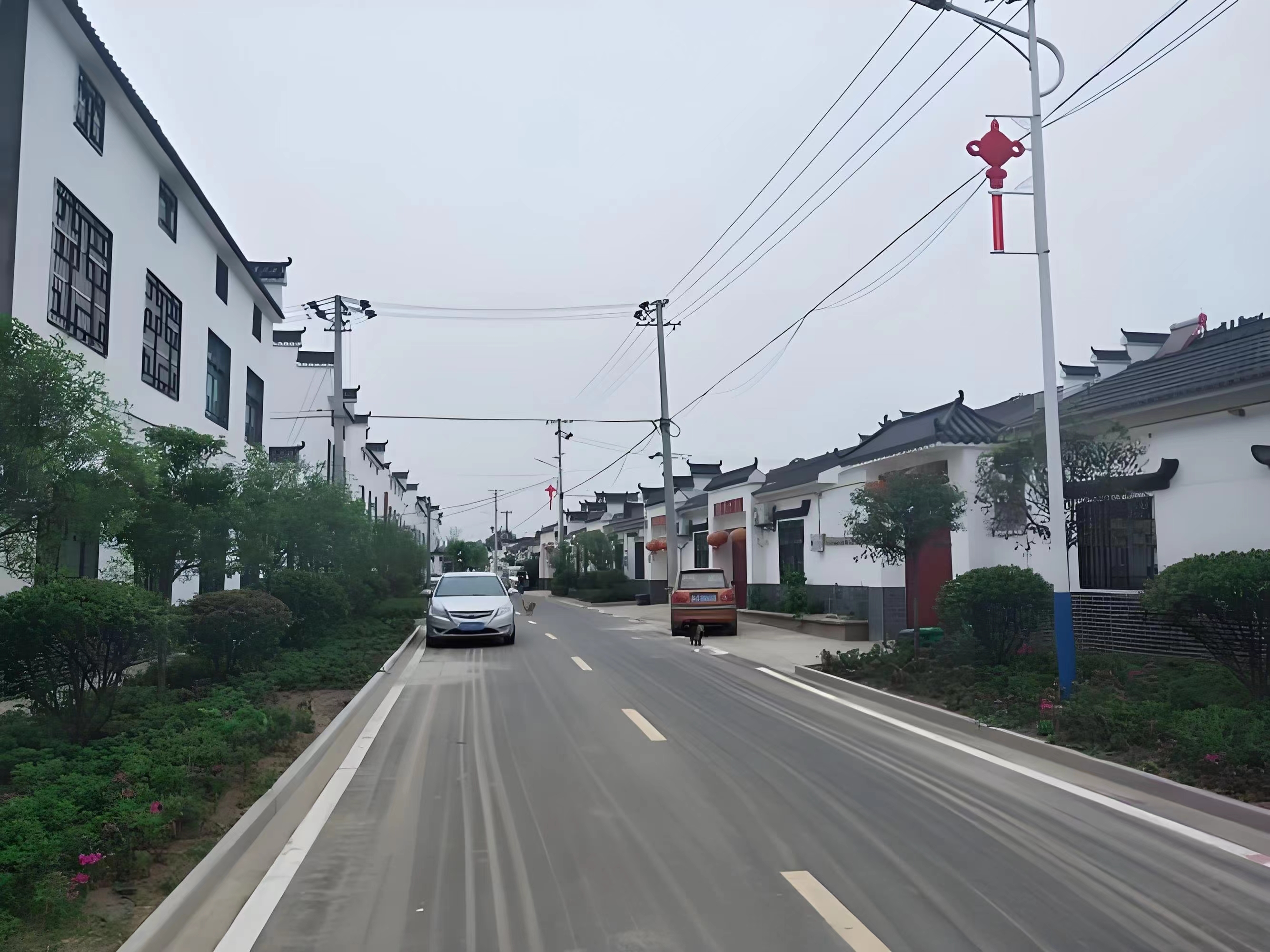 傳承紅色基因，續(xù)寫潁上黃壩發(fā)展新篇章
