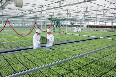 对外农业投资流量与存量均为全国第一 看上海农业如何联通世界
