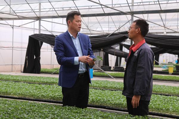 2015年,该种苗基地负责人邵林随山东省寿光市的农业企业投资考察队来
